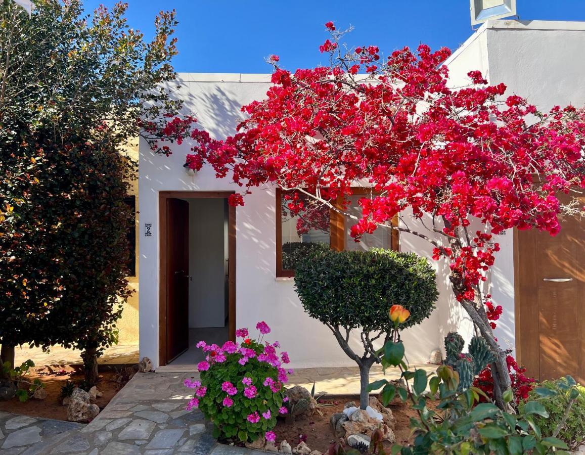 Apartament Kali